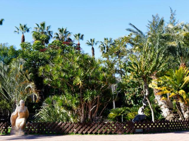 Las Palmeras Almunecar Exterior photo
